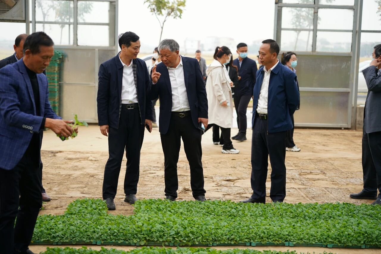 8e289dfbc8287397d17b979d5eeb86cd