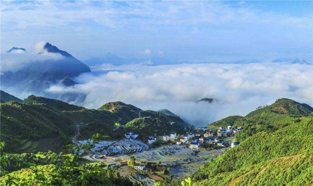 76a35e48bcd5203186531e45c0666004