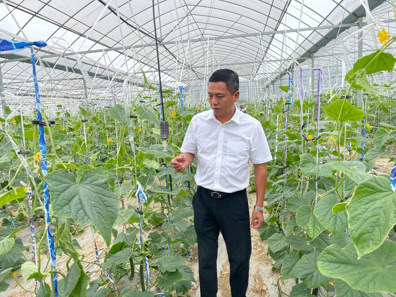 微信图片_2025-11-14_092909_165