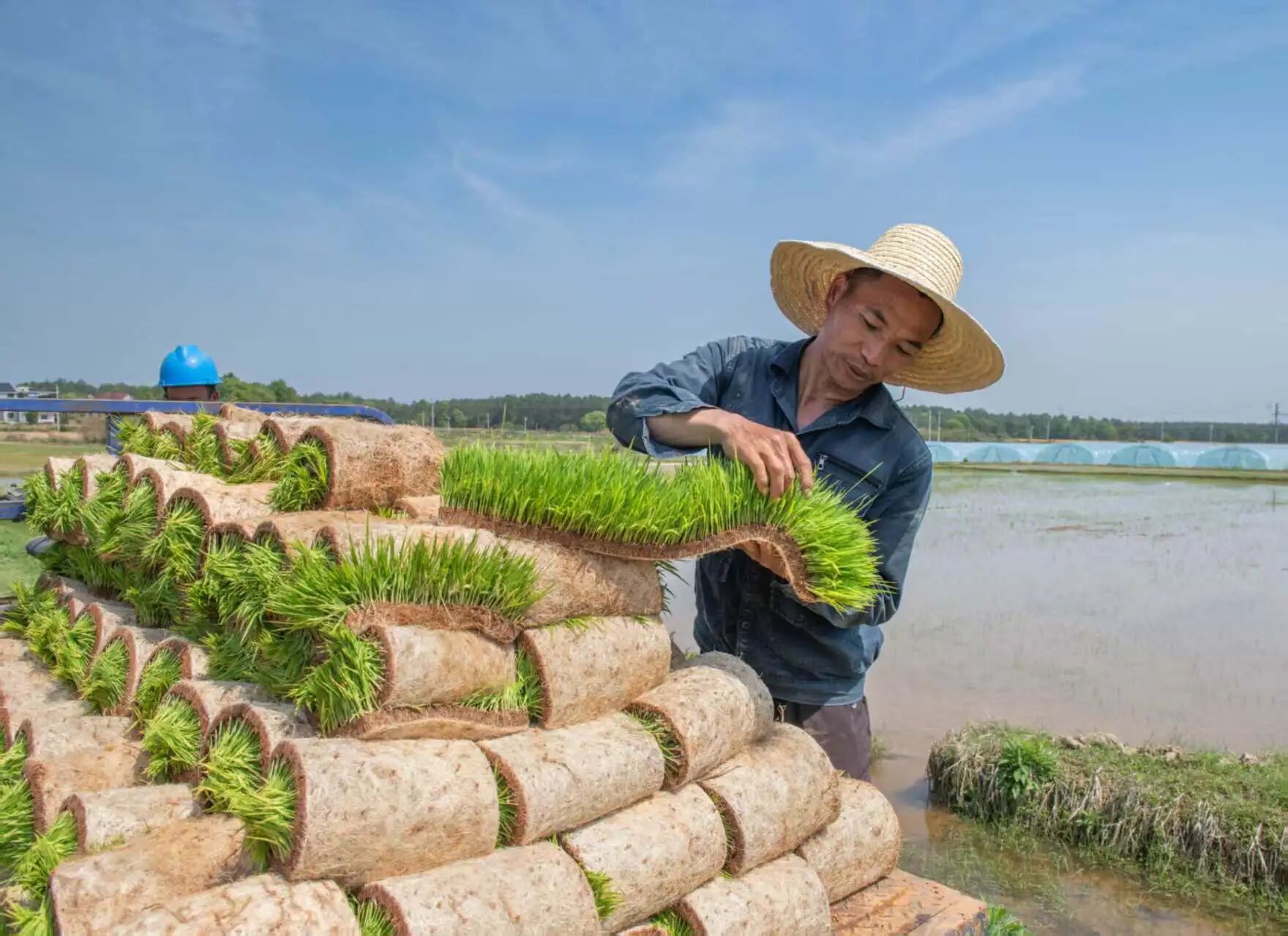 【2025年全省十佳理事长】贵溪市毛毛综合种植专业合作社毛雄